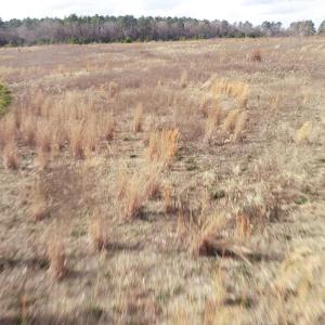 Photo #11 of Keystone Rd., Dalzell, SC 32.0 acres