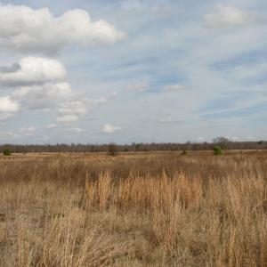 Photo #10 of Keystone Rd., Dalzell, SC 32.0 acres