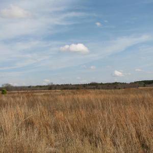 Photo #9 of Keystone Rd., Dalzell, SC 32.0 acres