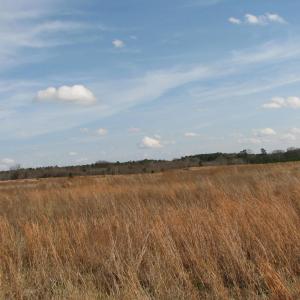 Photo #8 of Keystone Rd., Dalzell, SC 32.0 acres