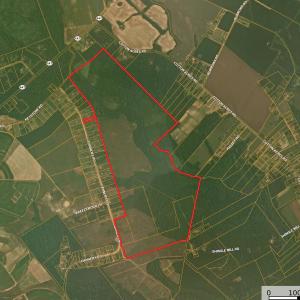 Photo #1 of Keystone Rd., Dalzell, SC 382.1 acres