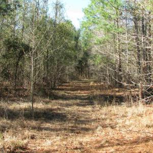 Photo #22 of Keystone Rd., Dalzell, SC 382.1 acres