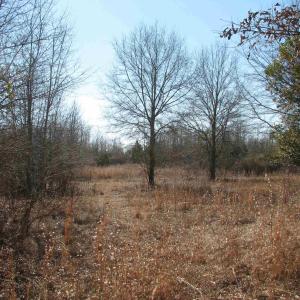 Photo #23 of Keystone Rd., Dalzell, SC 382.1 acres