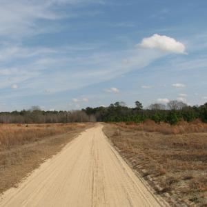 Photo #10 of Keystone Rd., Dalzell, SC 382.1 acres