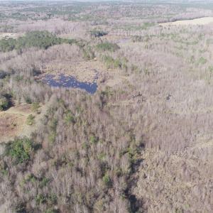 Photo #18 of Keystone Rd., Dalzell, SC 382.1 acres