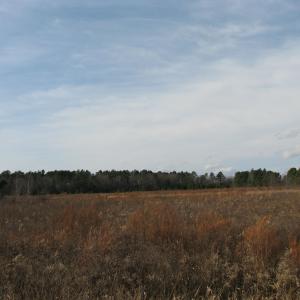 Photo #7 of Cannery Rd, Dalzell, SC 382.1 acres