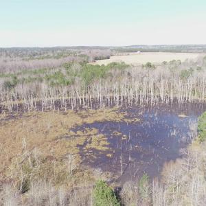 Photo #6 of Cannery Rd, Dalzell, SC 382.1 acres