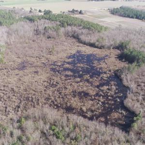 Photo #4 of Cannery Rd, Dalzell, SC 382.1 acres