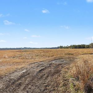 View of yard featuring a view of rural / pastoral