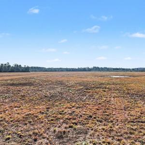 View of yard featuring a view of rural / pastoral