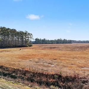 View of undeveloped land featuring rural landscape