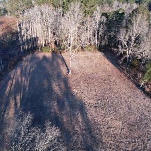 Photo #1 of TBD Samuels Ave, Salters, SC 2.1 acres