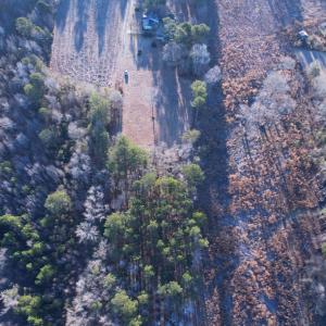 Photo #5 of TBD Samuels Ave, Salters, SC 2.1 acres