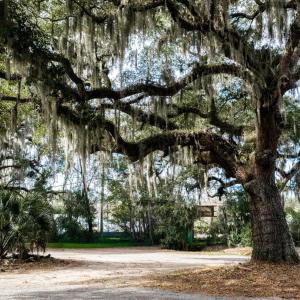 Photo #2 of 10670 Ocean Hwy., Pawleys Island, SC 2.9 acres