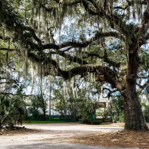 Photo #2 of 10670 Ocean Hwy., Pawleys Island, SC 2.9 acres