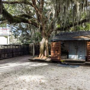 Photo #15 of 10670 Ocean Hwy., Pawleys Island, SC 2.9 acres