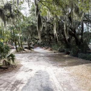 Photo #25 of 10670 Ocean Hwy., Pawleys Island, SC 2.9 acres