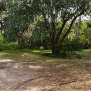 Photo #21 of 10670 Ocean Hwy., Pawleys Island, SC 2.9 acres