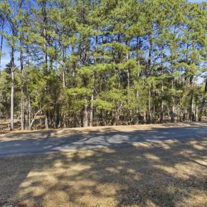 View of road featuring a forest view
