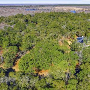 View of property location featuring a forest and a