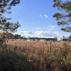 Photo #5 of 10.79 acres Highway 90, Longs, SC 10.8 acres