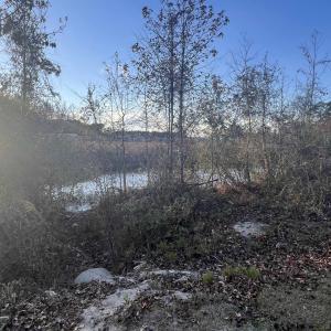 Photo #10 of 10.79 acres Highway 90, Longs, SC 10.8 acres