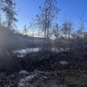 Photo #11 of 10.79 acres Highway 90, Longs, SC 10.8 acres