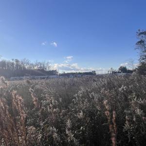 Photo #12 of 10.79 acres Highway 90, Longs, SC 10.8 acres