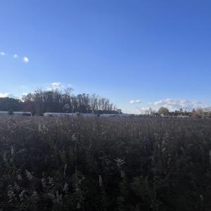 Photo #13 of 10.79 acres Highway 90, Longs, SC 10.8 acres