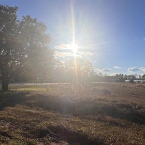 Photo #1 of 10.79 acres Highway 90, Longs, SC 10.8 acres