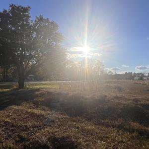 Photo #5 of 10.79 acres Highway 90, Longs, SC 10.8 acres