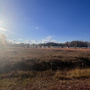 Photo #3 of 10.79 acres Highway 90, Longs, SC 10.8 acres