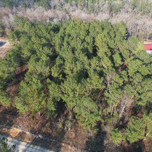 Photo #10 of Lot 6 - TBD Old Camp Ln., Salters, SC 1.2 acres