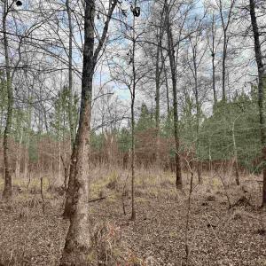Photo #26 of 106.6 Acres-TBD Highway 52, Salters, SC 106.6 acres