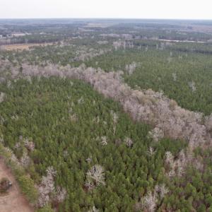 Photo #2 of 106.6 Acres-TBD Highway 52, Salters, SC 106.6 acres