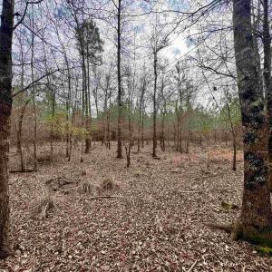 Photo #22 of 106.6 Acres-TBD Highway 52, Salters, SC 106.6 acres