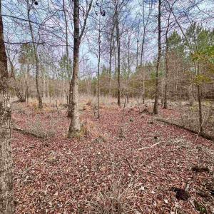 Photo #24 of 106.6 Acres-TBD Highway 52, Salters, SC 106.6 acres
