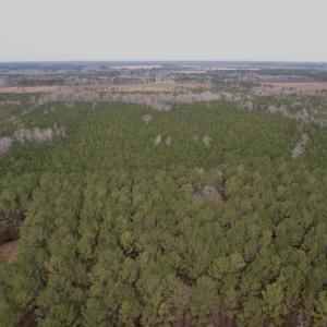Photo #44 of 106.6 Acres-TBD Highway 52, Salters, SC 106.6 acres