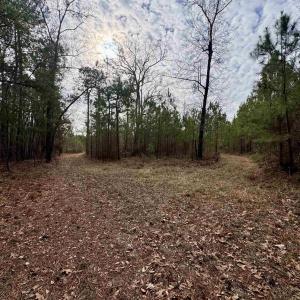 Photo #9 of 106.6 Acres-TBD Highway 52, Salters, SC 106.6 acres