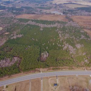 Photo #1 of 106.6 Acres-TBD Highway 52, Salters, SC 106.6 acres