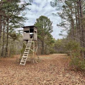 Photo #30 of 106.6 Acres-TBD Highway 52, Salters, SC 106.6 acres