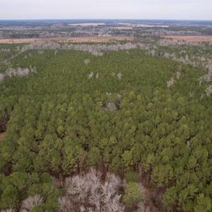 Photo #43 of 106.6 Acres-TBD Highway 52, Salters, SC 106.6 acres