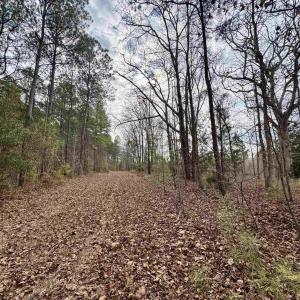 Photo #29 of 106.6 Acres-TBD Highway 52, Salters, SC 106.6 acres