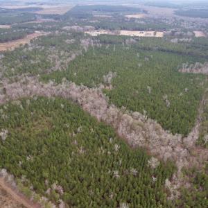Photo #52 of 106.6 Acres-TBD Highway 52, Salters, SC 106.6 acres