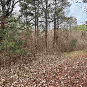 Photo #37 of 106.6 Acres-TBD Highway 52, Salters, SC 106.6 acres