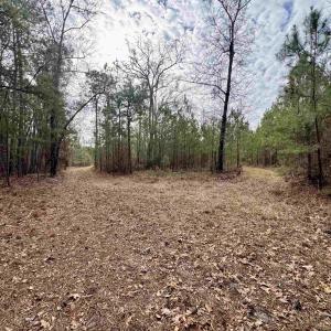 Photo #10 of 106.6 Acres-TBD Highway 52, Salters, SC 106.6 acres