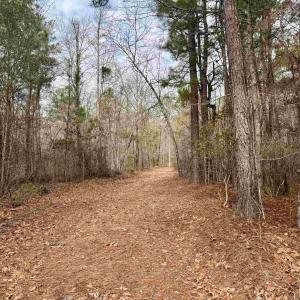 Photo #11 of 106.6 Acres-TBD Highway 52, Salters, SC 106.6 acres
