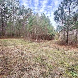 Photo #4 of 106.6 Acres-TBD Highway 52, Salters, SC 106.6 acres