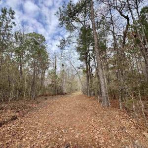 Photo #12 of 106.6 Acres-TBD Highway 52, Salters, SC 106.6 acres