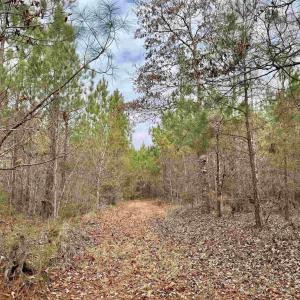 Photo #18 of 106.6 Acres-TBD Highway 52, Salters, SC 106.6 acres
